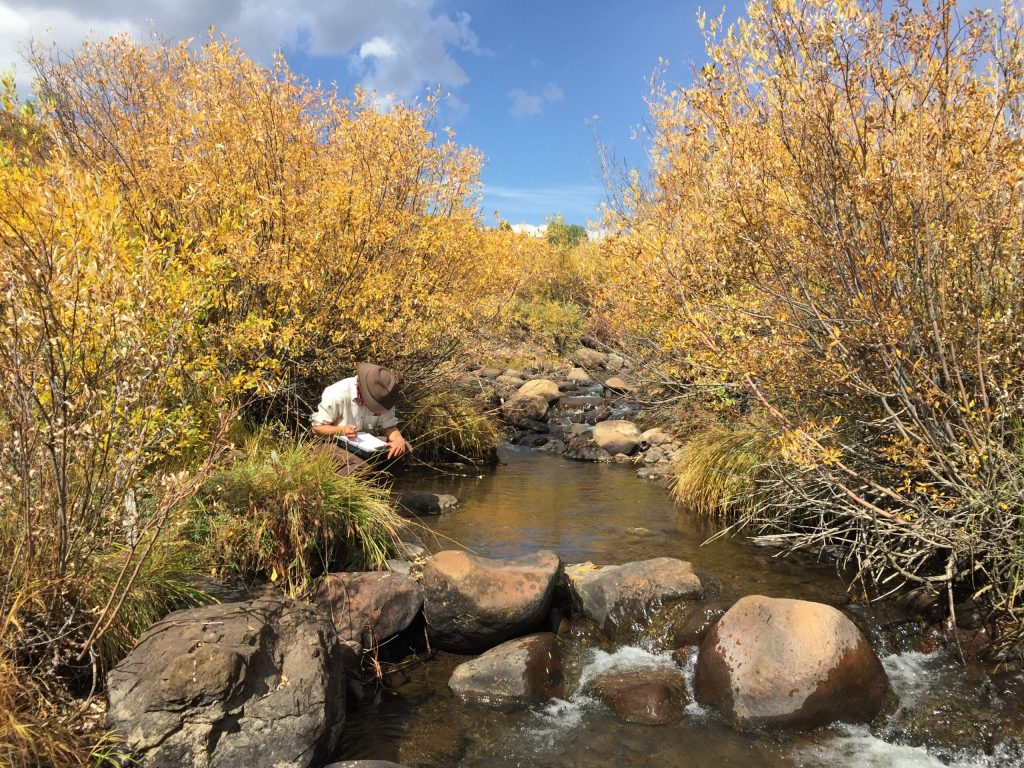Slate River Integrated Monitoring Project